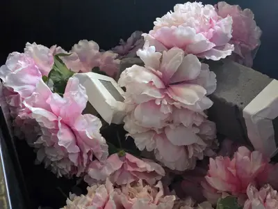 Lot of (6) Silk Faux Flower Arrangements (pink)