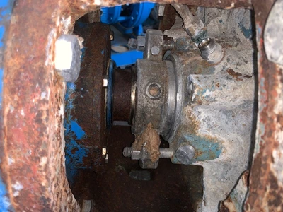 USED Goulds 3175