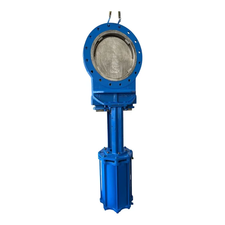 Used DEZURIK 824 Valves/Fittings MX | MAQUINARIA PECUSA #1394380