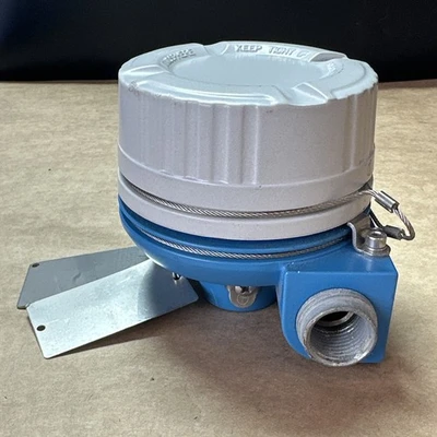 NEW Endress & Hauser T53-E3A38E4A62KAA