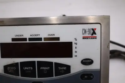 RICE LAKE CW90X-A / CW90XA DIGITAL PANEL AS PICTURED STK H1648