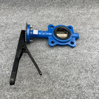 New | in-Stock WHEATLEY BFV-025L Pump & Valve Parts California US | Davliegogo LLC #1706931