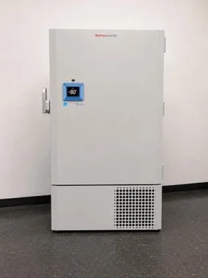 Used THERMO FISHER SCIENTIFIC TSX SERIES –80 °C ULTRA LOW FREEZER Ultra-Low Temperature Freezers New Jersey US | Bionex Scientific LLC #799723