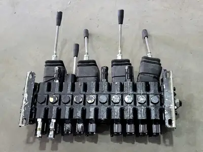 Control Valve Assembly 77010587