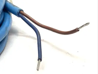 Used Banner Engineering M12 Cordset 35617 Proximity Sensors Michigan US | Maverick Industrial Sales #1398878