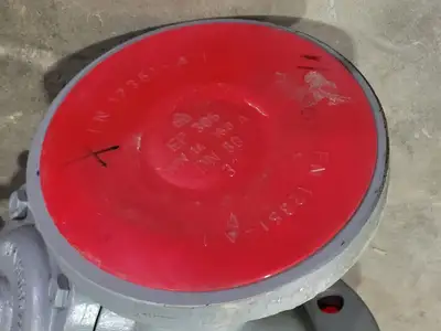 3" Fig 34 Y-Type Strainer w/ 3/4" Class 800 Gate Valve C-2054B-02TY