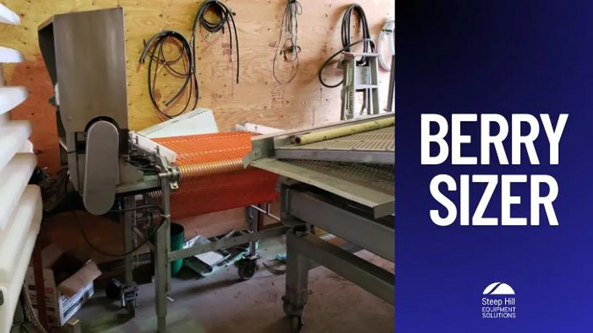Fresh Berry Sizer