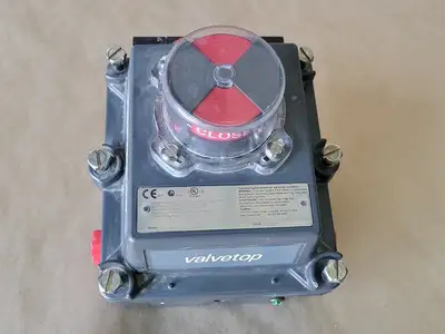 NEW TOPWORX DXP-E21GNEB7A21
