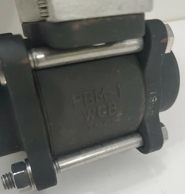 NEW PBM PAVCL453S-0075