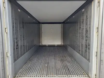 20 ft Working Refrigerated Shipping Container - TRIU6824221