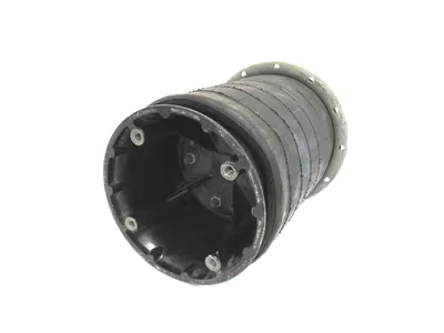 NEW FIRESTONE 1T19F-11 AIR RIDE AIR SPRING 1T19F11