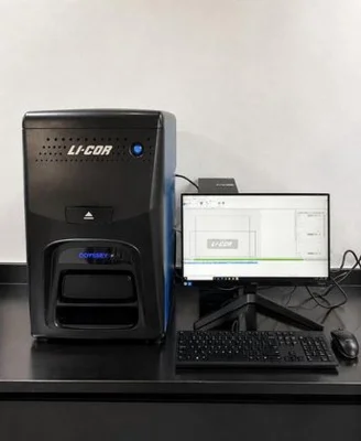Used LI-COR ODYSSEY XF Imaging Systems / Molecular Imagers New Jersey US | Bionex Scientific LLC #800711