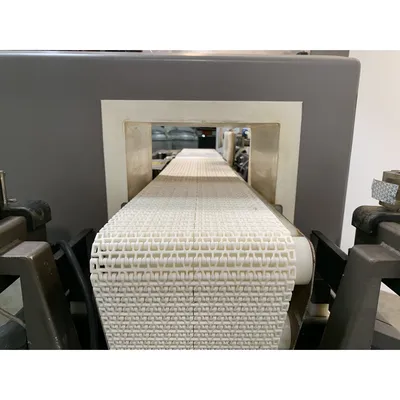 USED METTLER TOLEDO / SAFELINE, INC. STD/10X06/PG/300/ABS/V2