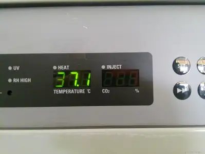 Panasonic MCO-80IC CO2 Large Reach-In Incubator 30.1Cf, 851L, 120v