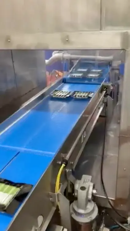Used CUSTOM BUILT CONVEYOR Belt Conveyors Illinois US | M&M Equipment Corp. #1145767