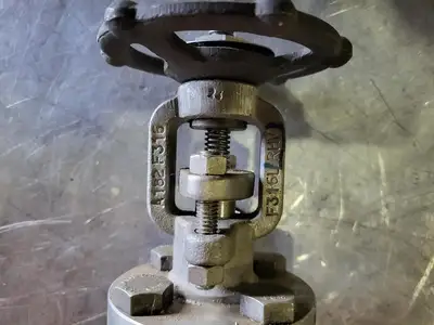 1" Class 800 Globe Valve API 602