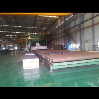 Plate Shot Blasting Plant