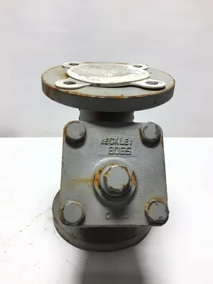 Keckley XJ60 12 Y-Strainer Cast Iron 2-1/2″ Flanged 150# WCB