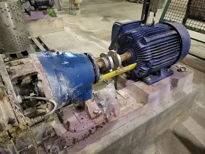 USED GOULDS 3175S