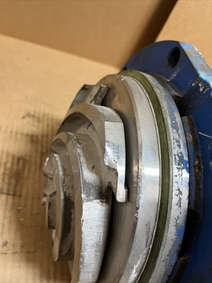 USED Goulds 3196