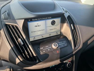 Used 2019 FORD ESCAPE SUVs Michigan US | Miedema Asset Management Group #1320461
