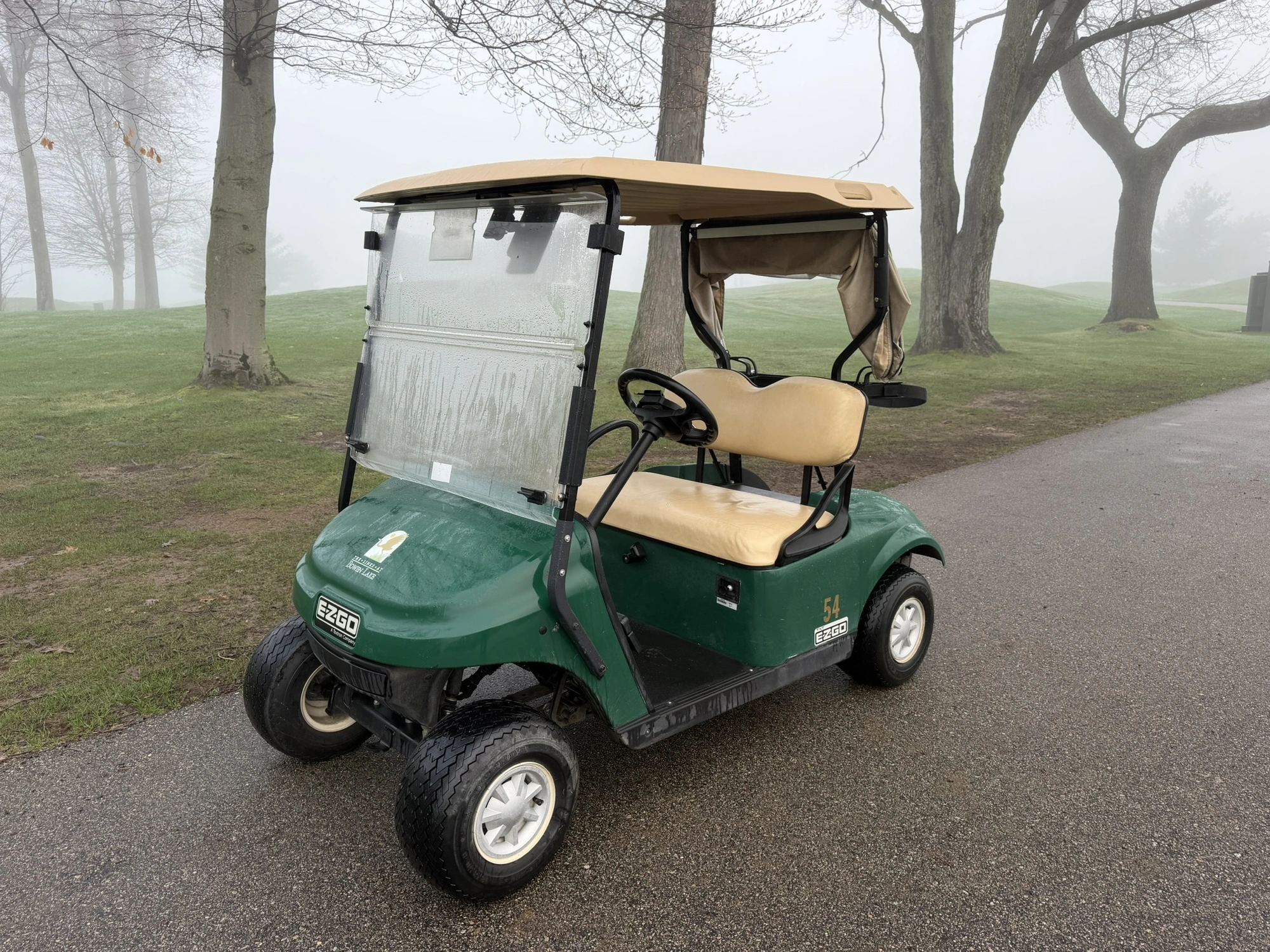 (1) 2017 E-Z-Go golf cart with a Kawasaki gas engine, model 625111G01, includes canopy, ball cover, ...