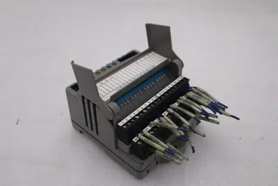 Giddings & Lewis M.1300.7372 R1 Input Module 24VDC SINK/SOURCE STOCK K-2919-A