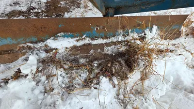 KING KUTTER REAR BLADE Blades | Iron Listing (8)