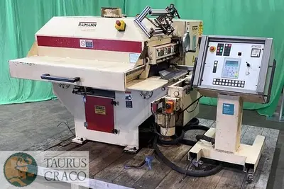 USED 2001 RAIMANN VARIORIP KM 310 BV GANG RIP SAW