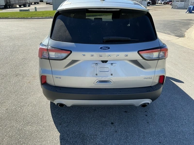 Used 2022 FORD ESCAPE Utility Vehicles Michigan US | Miedema Asset Management Group #1732726