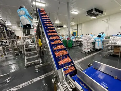 USED 2022 WEIGHPACK PRIMO LINEAR C-10