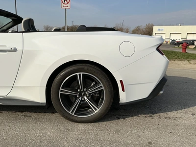 Used 2024 FORD MUSTANG Cars Michigan US | Miedema Asset Management Group #1579884