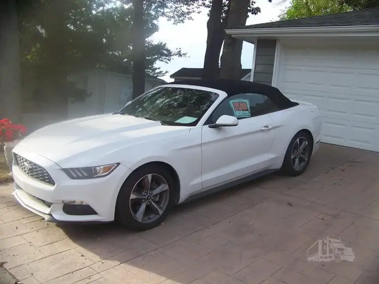 Used FORD MUSTANG Cars Michigan US | NAS Sales #1557820