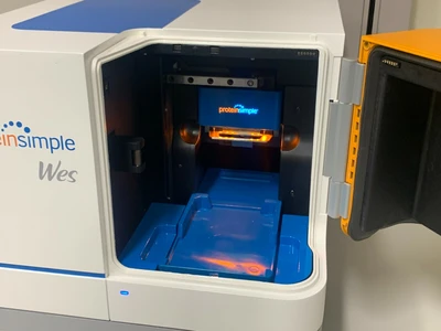 USED ProteinSimple WES
