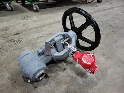 2" Class 900 Globe Valve B16.34