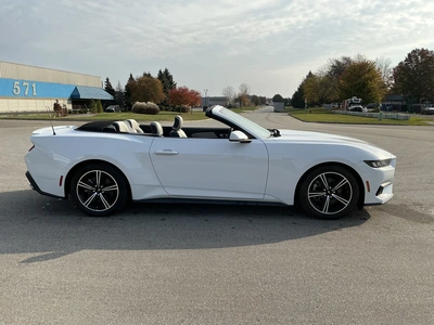 Used 2024 FORD MUSTANG Cars Michigan US | Miedema Asset Management Group #1579884