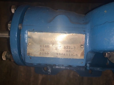 USED Goulds 3199