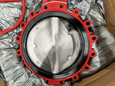 Bray 316 SS Butterfly Valves | Fram Fram LLC (6)