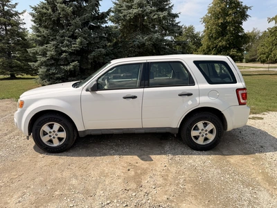 Used 2009 FORD ESCAPE SUVs Michigan US | Miedema Asset Management Group #1414381