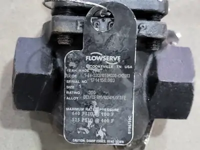 Size 1", Rating 300, Globe Valve PL-1596