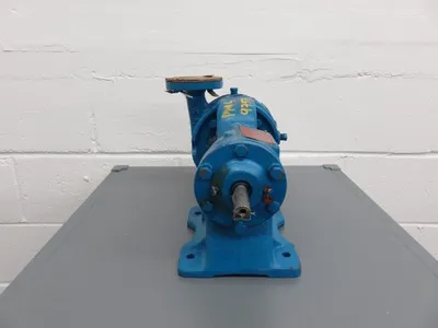 USED Goulds 3199