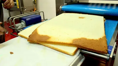 KRUMBEIN | HGS Industrial Cake Slabber & Horizontal Slicer