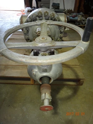 Takamisawa 10", Class 900, CF8, Gate Valve