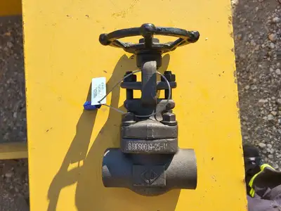 1" Class 800 Gate Valve API 602