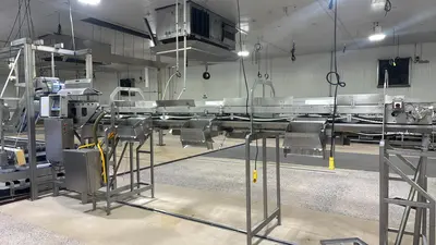 Used MAREL GRADING LINE Food Production Lines Illinois US | M&M Equipment Corp. #1538103