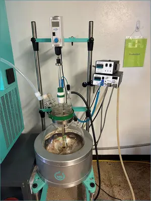 USED 2019 ECODYST ECHOCHYLL X7 22L