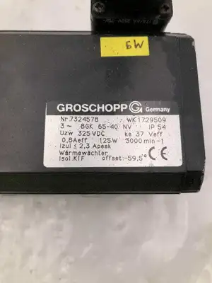 Groschopp 7324578 DC Gearmotor 3000RPM 3PH 325VDC 125W