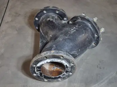 6" 125S 200 WOG Wye Strainer