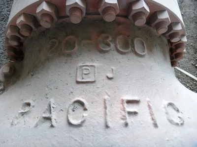 Pacific 20" 300 lb Check Valves