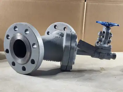 3" Class 300 Check Valve w/ Velan 3/4" Class 800 Gate Valve C-2054B-02TY
